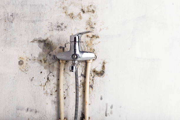 Mold Removal and Inspection in Tonkawa, OK