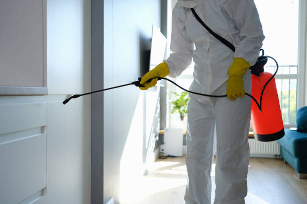 Best Professional Mold Removal  in Tonkawa, OK