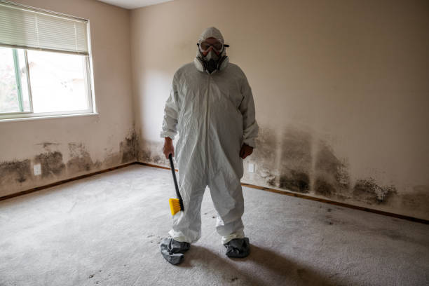 Office Mold Removal Services in Tonkawa, OK