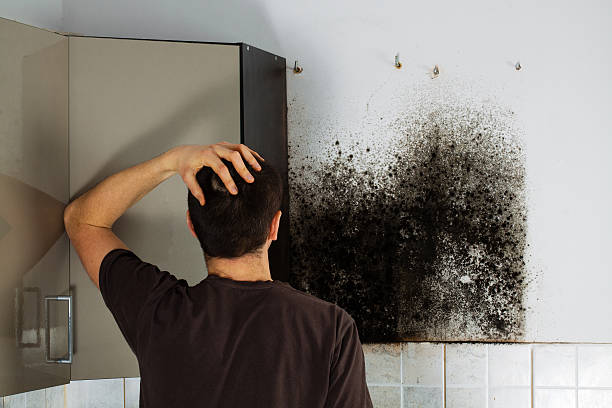 Best Crawl Space Mold Removal  in Tonkawa, OK